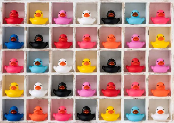 Photo of Many different vibrant colored rubber ducks in white wood pigeon hole compartments.