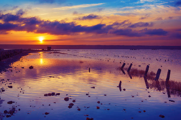 istock Sunset on the lake 1246930326