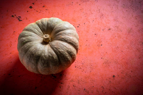 Pumpkin round on coral orange color grunge background