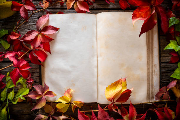 Autumn vintage old real book blank pages leaves frame red colorful on wooden rustic board
