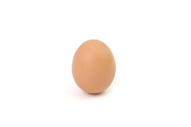 istock Close up of an egg isolated on white background 1246932509