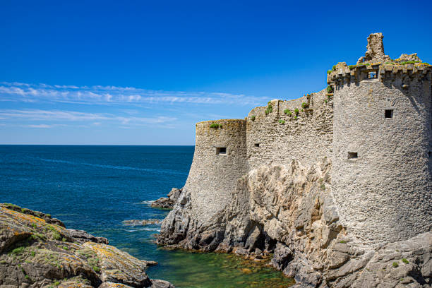 istock Yeu island Yeu Atlantic ocean 1246933132