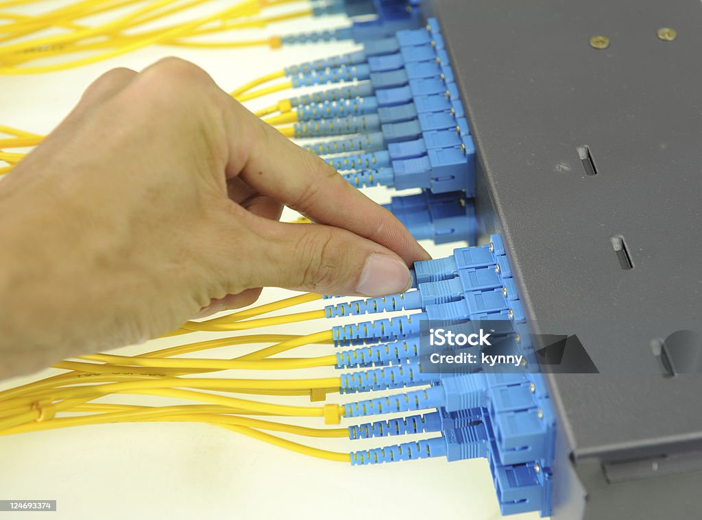 Mano con cavi di rete e server - Foto stock royalty-free di Cavo del computer
