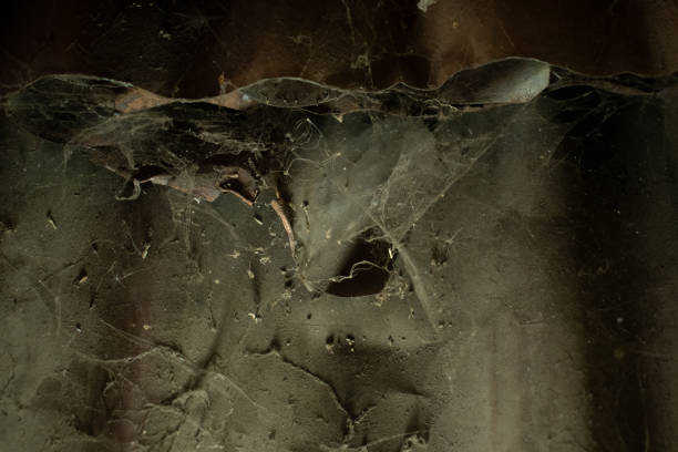 istock scary halloween background with dead spider and web 1246934696