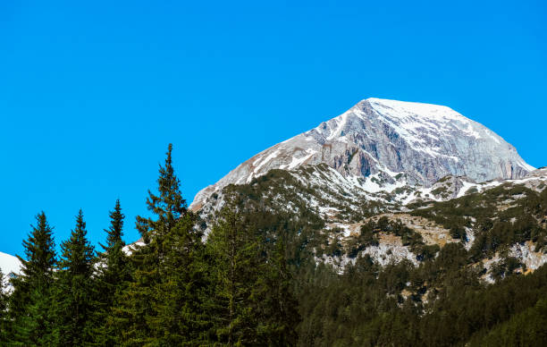 istock Bulgaria, Pirin range, Vihren mountain, hiking peak point, blue sky background. 1246934718