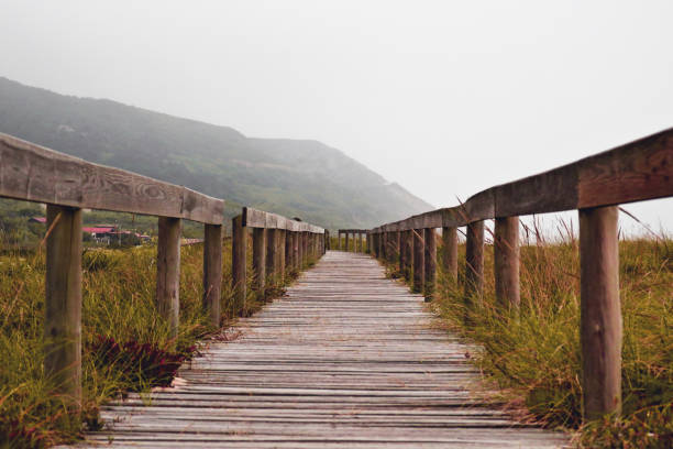 Wooden path in Quiaios Beach in Portugal with mountains background under rainy cloudy sky. Autumnal mood with brown and green tints. Perfect trail for walking.