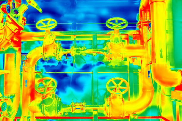 istock Colorful Infrared thermogram 1246948571