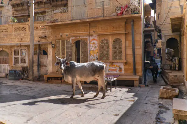 Photo of The view of one of the most beautifulest indian town