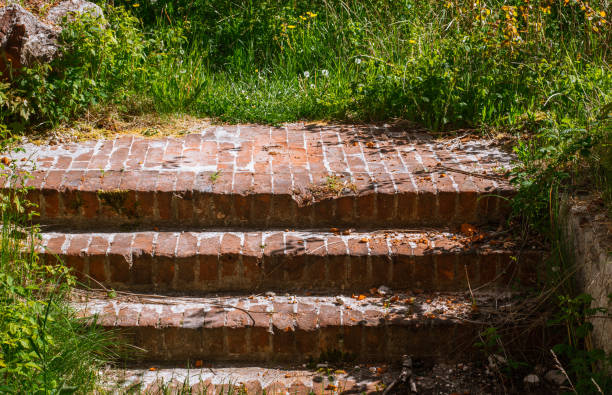 Old brick staircase overgrown with green grass