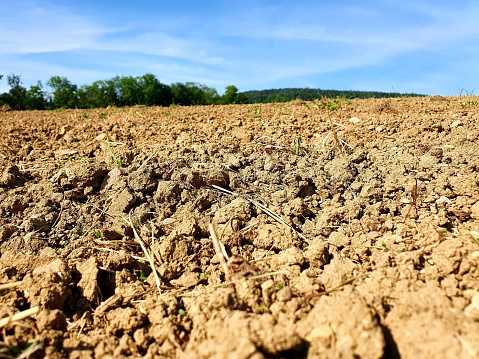 Dry agricultural field inthe canton of Zurich. The image shows dry earth on a field captured during summer.