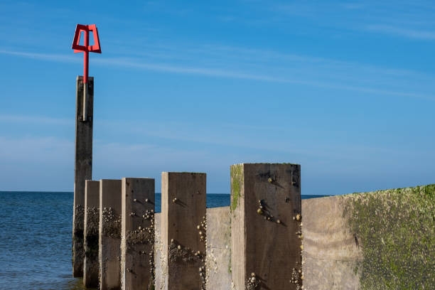 istock Hengistbury Head on a sunny day. 1246973876