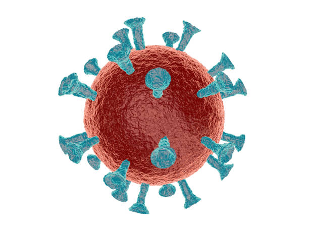 komórki coronavirus lub cząsteczki bakterii. wirus covid-19. wirus wyizolowany na białym. bakterie, organizm zakażony komórkami. renderowanie 3d - model organism zdjęcia i obrazy z banku zdjęć