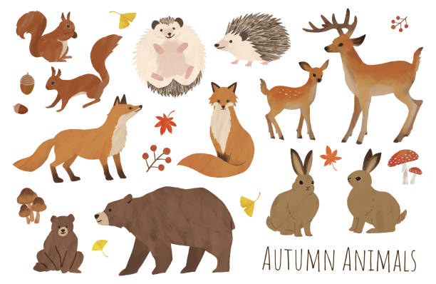 jesienny zestaw zwierząt ilustracja farba wodna - illustration and painting cute cartoon watercolor painting stock illustrations