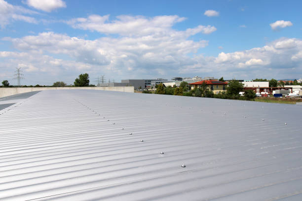 istock Barrel vault roof on a new warehouse 1246997166