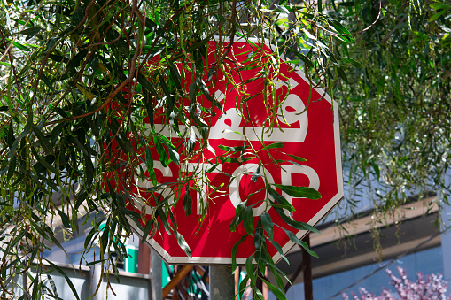 Arabian stop traffic sign hidden behind tree branches