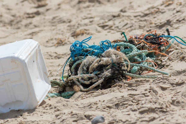 Garbage coming to the beach brought by the waves