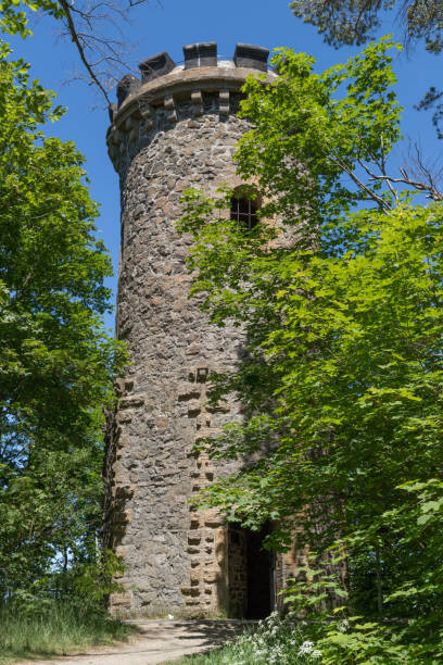 istock Little stone tower in a forest in Harz National Park 1247004195