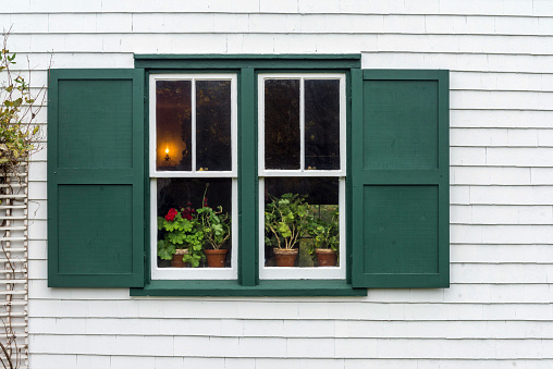 Focus on the window with plants on a windowsill. Candle in the house illuminates the window.  Green shutters against the white house.
