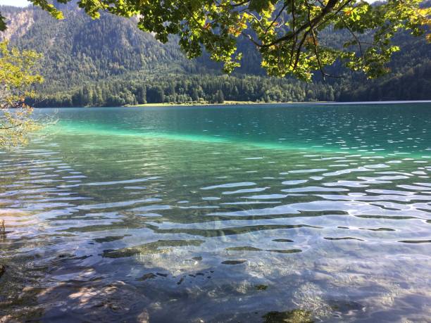 istock Alpsee lake with blue water, Bavaria, Germany 1247011187