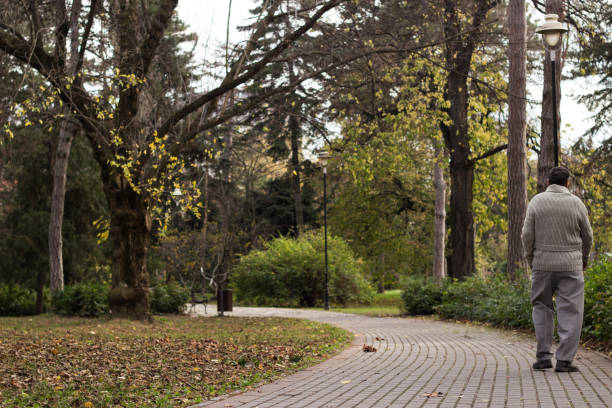 istock Senior man walking and relaxing in park. 1247012538
