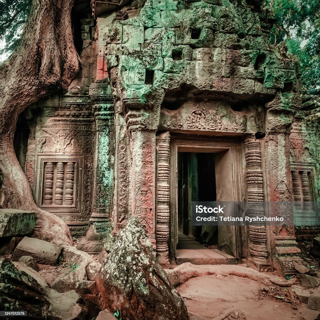 Kiến Trúc Khmer Cổ Đại Đền Ta Prohm Với Cây Đa Khổng Lồ Tại Quần ...