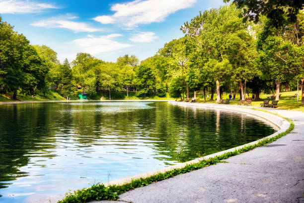 A serene landscape shot from a distance at Gladstone Park, Michigan, showcasing a beautiful horizon with lush green grass and tall trees on either side. The sparkling lake stretches far into the distance, framed by the natural greenery. A seagull soars gracefully in the upper part of the photo, adding life to the tranquil scene under a vibrant blue sky. This peaceful view captures the beauty of the Upper Peninsula, perfect for nature and outdoor-themed designs.