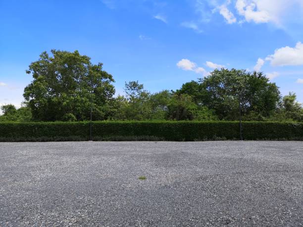 istock Parking lot sprinkled with gravel on tree bush nature background 1247019155