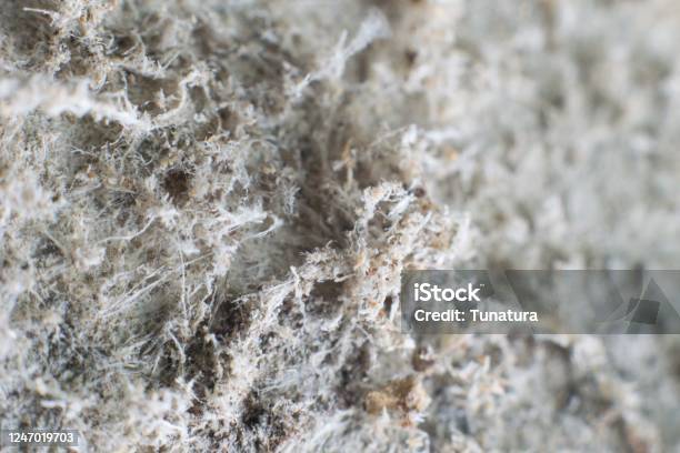 Detailed Photography Of Constructional Material With Asbestos Fibres Health Harmful And Hazards Effects Stock Photo - Download Image Now