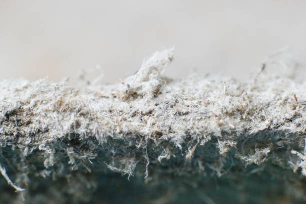 Detailed photography of constructional material with asbestos fibres. Health harmful and hazards effects. Detailed photography of constructional material with asbestos fibres. Health harmful and hazards effects. Prolonged inhalation of microscopical fibers causes fatal illnesses including lung cancer. eternity stock pictures, royalty-free photos & images