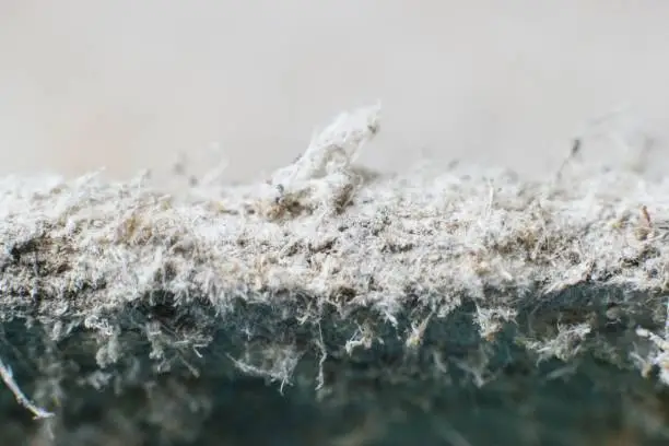 Photo of Detailed photography of constructional material with asbestos fibres. Health harmful and hazards effects.