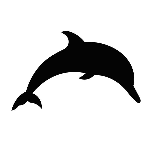дельфин черный символ изолированы на белом фоне. - dolphin porpoise mammal sea stock illustrations