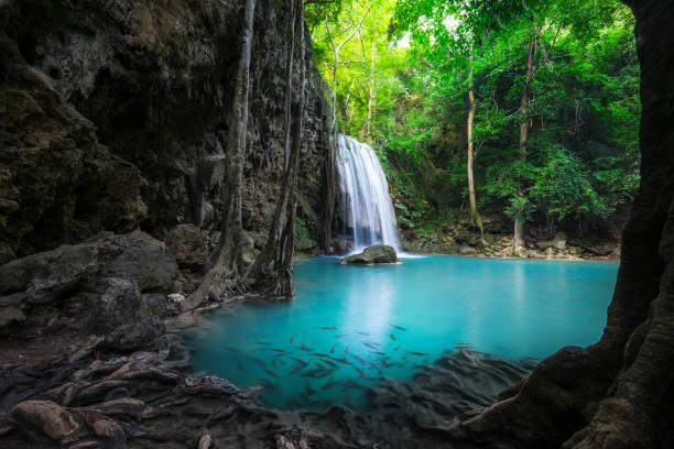 istock Jangle landscape with Erawan waterfall. Kanchanaburi, Thailand 1247023382