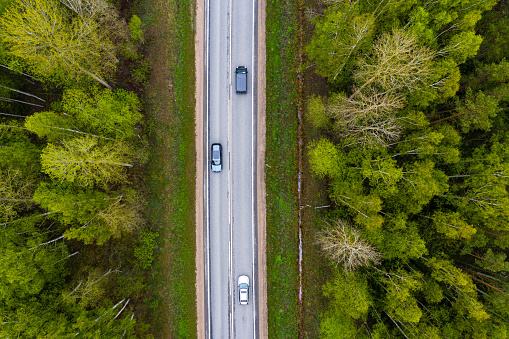 road with cars in the forest between green trees, aerial view from drone