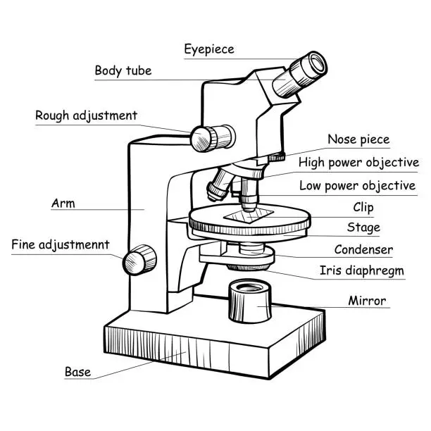 Vector illustration of Modern electronic powerful lab microscope parts infographic