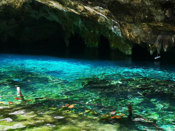 istock Crystal Waters of Dos Ojos Cenote 1247037159
