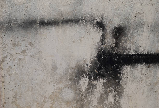 istock Abstract spray color on dirty wall texture 1247037262