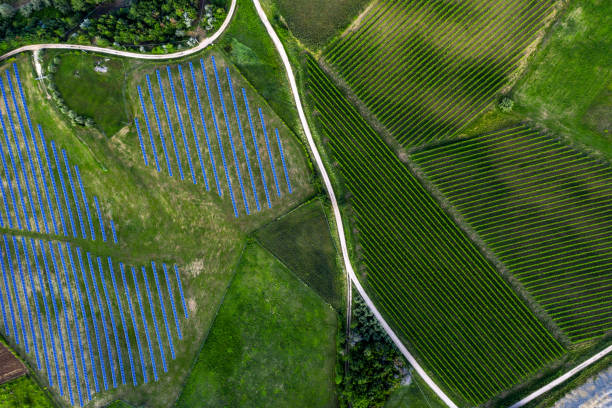 istock Solar panels fields on the green hills 1247046459