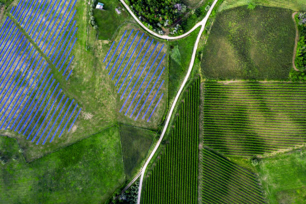 istock Solar panels fields on the green hills 1247046579