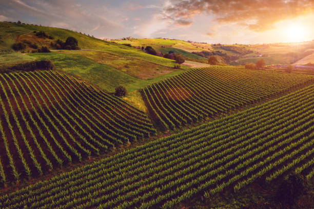 istock Italy - Marche landscape aerial view 1247046645