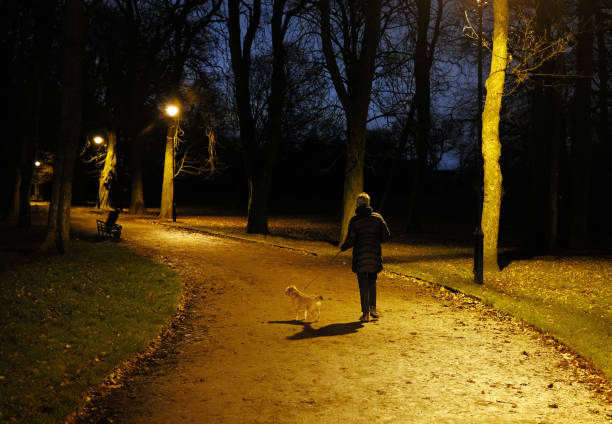 donna e cane che camminano nel parco nell'oscurità con figura sinistra in attesa - walking at night foto e immagini stock