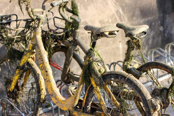 istock Bike in the seine 1247048134