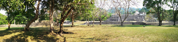istock Panorama of Palenque ruins 1247048719