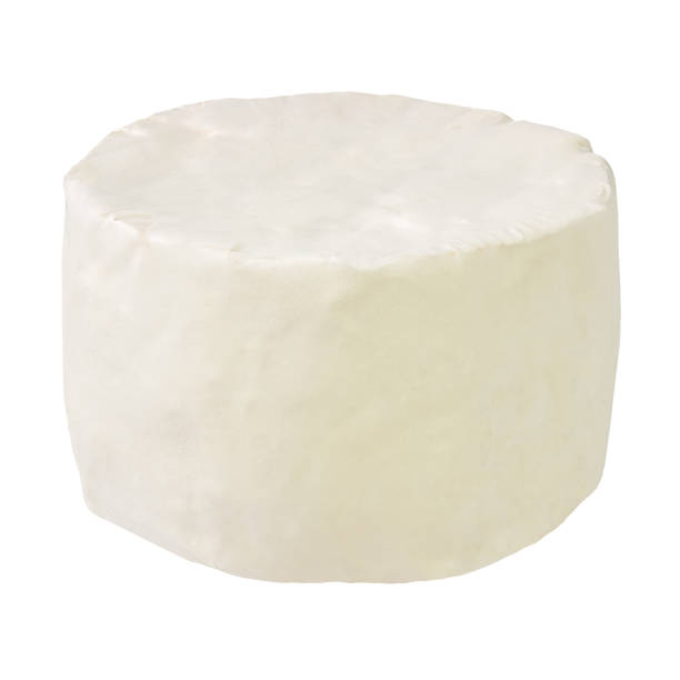 istock White mould cheese isolated on white background 1247075533