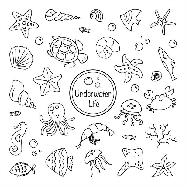 illustrazioni stock, clip art, cartoni animati e icone di tendenza di set di creature sottomarine marine contorno su sfondo bianco illustrazione di doodle a linea sottile disegnata a mano - mondo marino