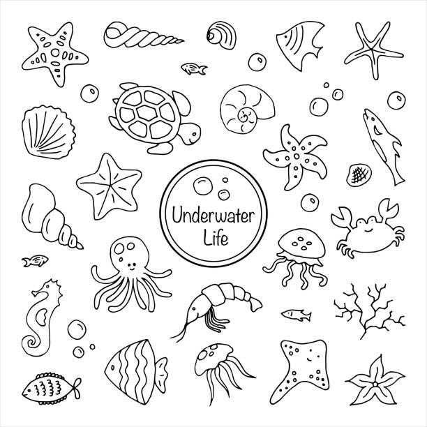 zestaw morskich podwodnych stworzeń zarys na białym tle ręcznie rysowane cienką linię doodle ilustracji - sea life stock illustrations