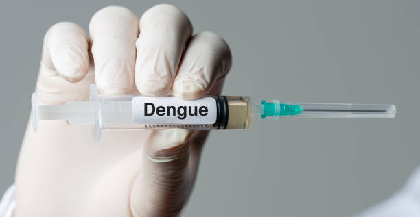 vacina contra a dengue - dengue - fotografias e filmes do acervo