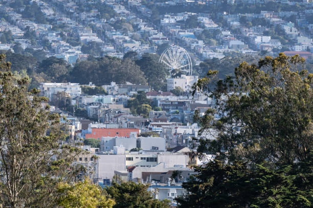 istock Ferris wheel in Golden Gate Park 1247123894
