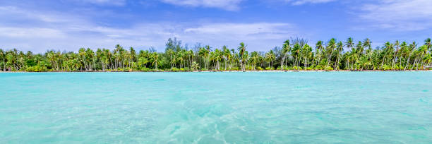 istock Bora Bora Island, French Polynesia. Web banner in panoramic view. 1247151148