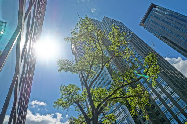 istock Downtown Montreal, June 06, 2020 1247171689