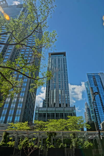 istock Downtown Montreal, June 06, 2020 1247171924